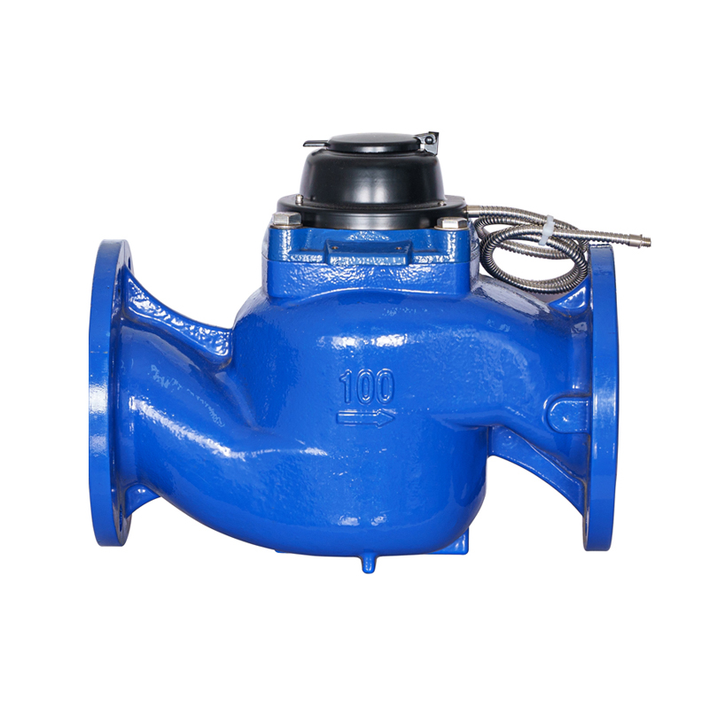 Medidor de água fotoelétrico removível com asa de parafuso vertical de alta precisão WS-DN40-DN200