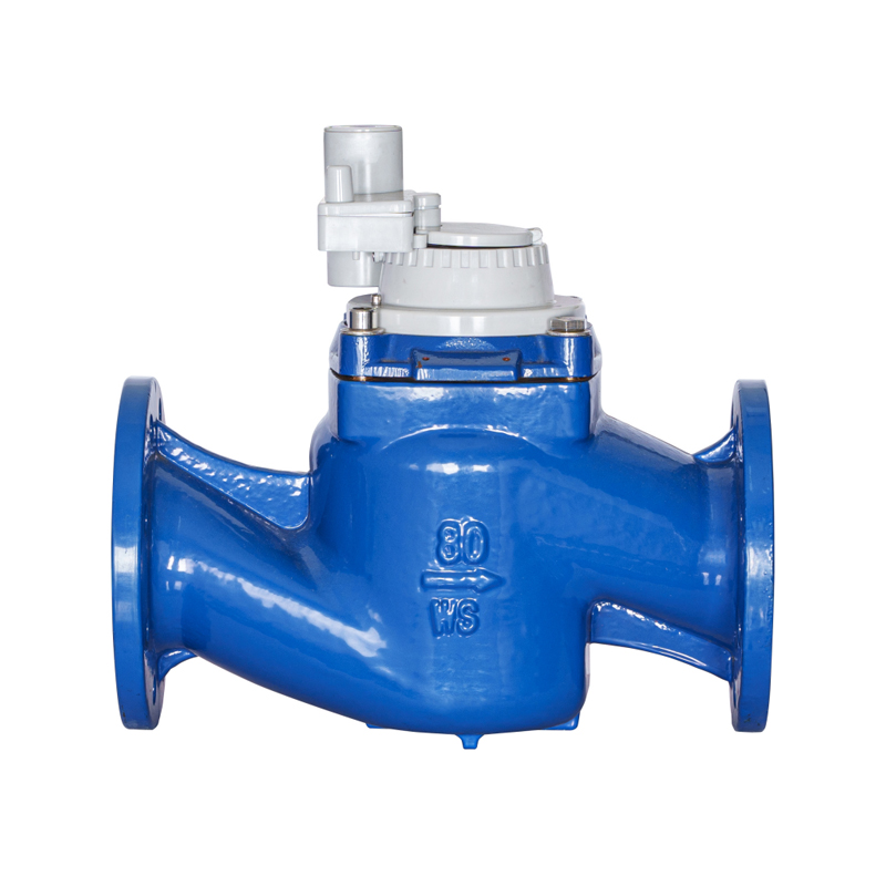 Medidor de água integrado não magnético removível com asa de parafuso vertical de alta precisão WS-DN40-DN200