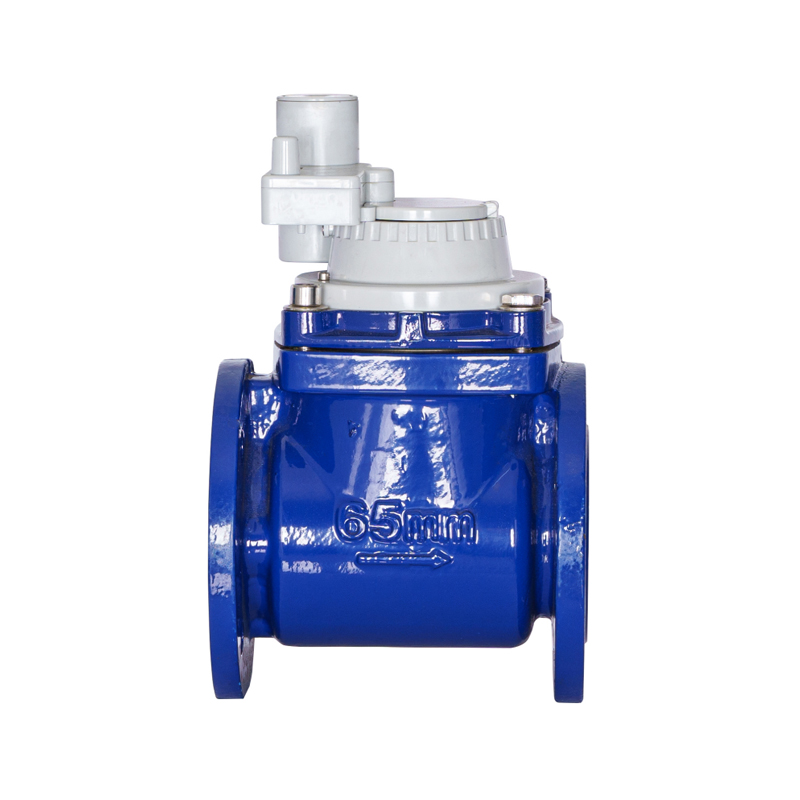 Medidor de água integrado não magnético com asa de parafuso destacável horizontal WPH DN50-DN200